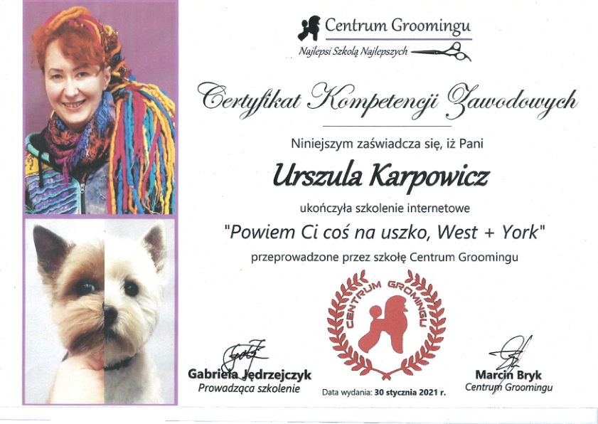 Certyfikat Kompetenji Zawodowych 2021